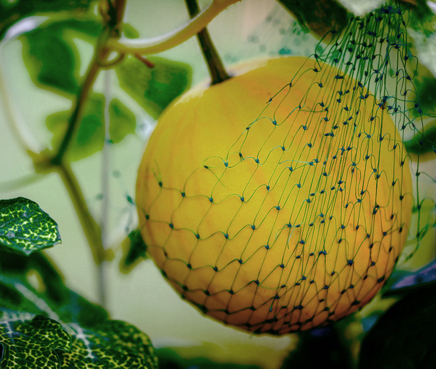 Bio-netting