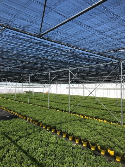 Netco tuinbouw