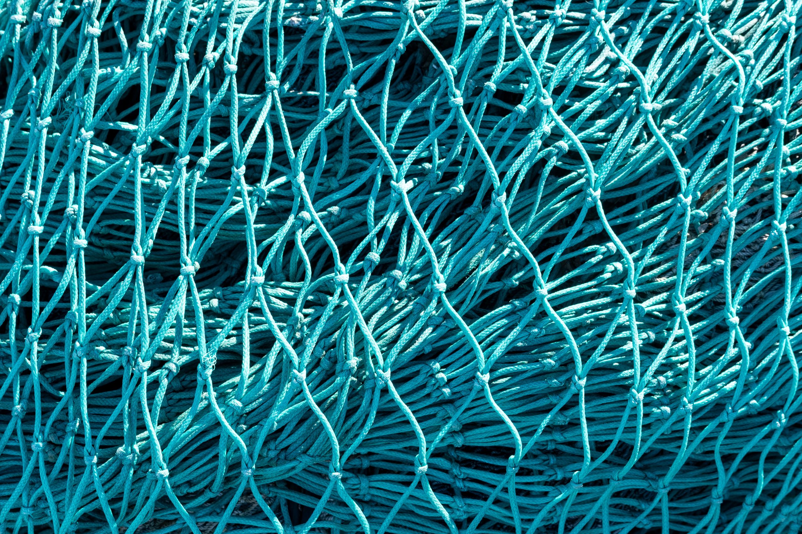 dyneema net